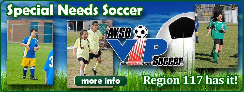 VIP Soccer Program